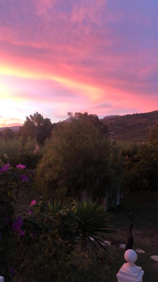 Finca El Rio, The Studio Self Catering With Pool And Hydrotherapy Jacuzzi Set In Beautiful Gardens, Guaro المظهر الخارجي الصورة