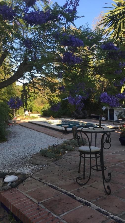 Finca El Rio, The Studio Self Catering With Pool And Hydrotherapy Jacuzzi Set In Beautiful Gardens, Guaro المظهر الخارجي الصورة