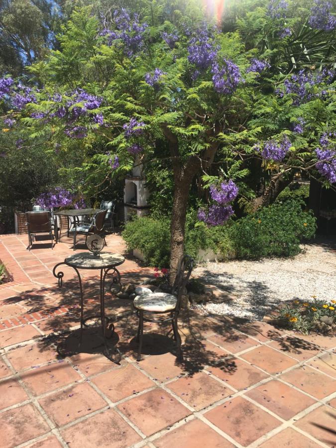 Finca El Rio, The Studio Self Catering With Pool And Hydrotherapy Jacuzzi Set In Beautiful Gardens, Guaro المظهر الخارجي الصورة